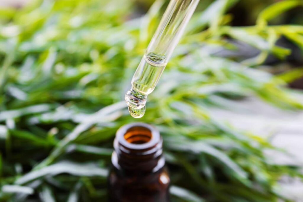 huile cbd broad spectrum